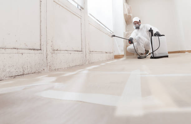24/7 Emergency Attic Mold Remediation experts in Oak Park, IL